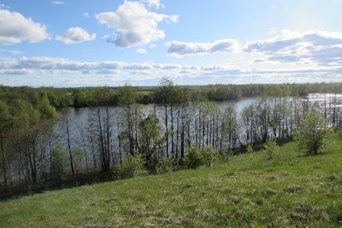 Заказник «Яново»