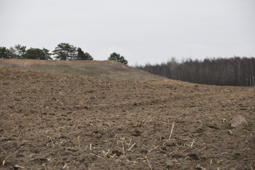 Буяновский погорок
