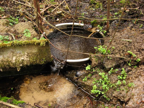 Родник 100 криниц