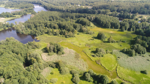 Заказник "Брестский"