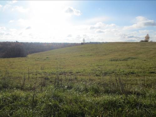 Гора Подлозенка Гомельская