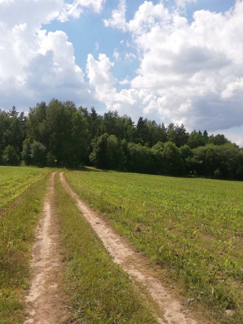 Тюпишкинская гора