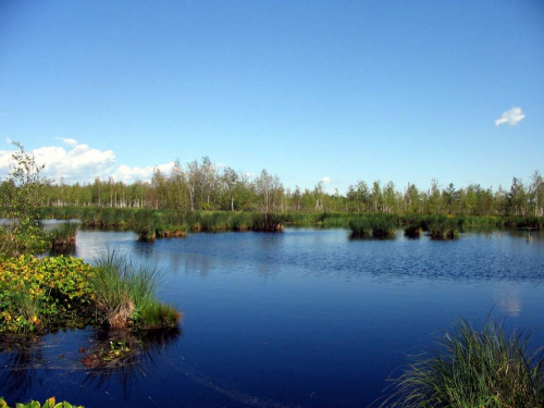 Дубатовское