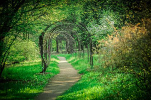 Центральный ботанический сад Национальной академии наук Беларуси