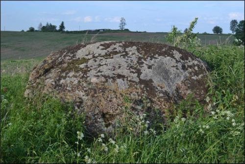 Большой камень Давыдковский