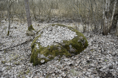 Перебродский валун Следовик