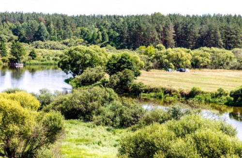 Заказник «Свислочско-Березинский»