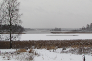 Заказник «Тиостенский»