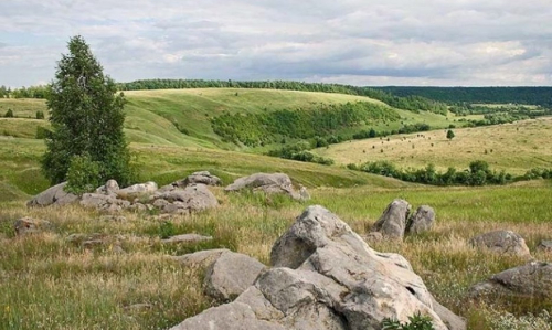 Заказник «Волчья гора»