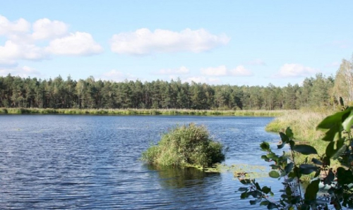 Заказник «Святое Озеро»