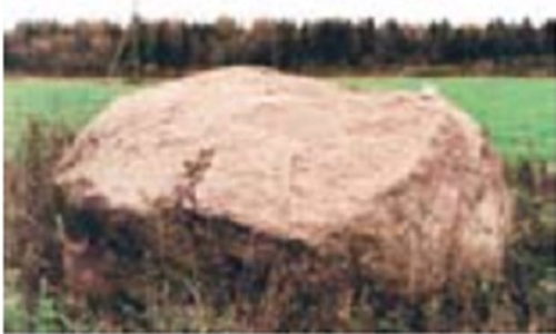 Валун Высотковский