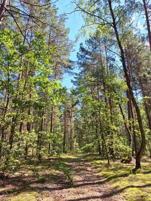 Заказник «Прибережье»