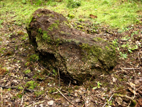 Валун «Большой камень» питемский