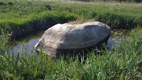 Плиговский валун