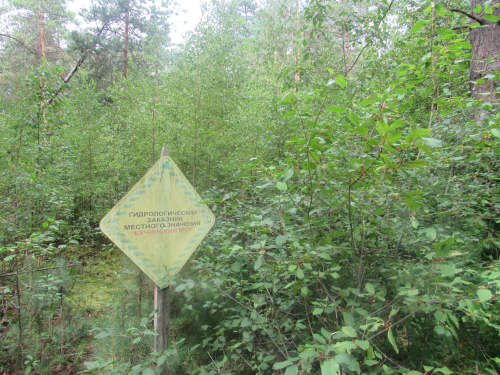 Заказник «Кучинский Мох»