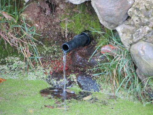 Криница «Бацевичская»