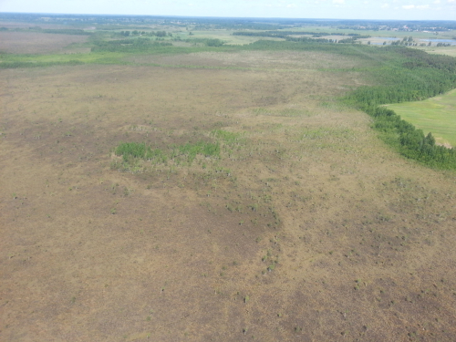 Заказник «Габы»