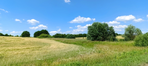 Заказник «Турецкие гряды»