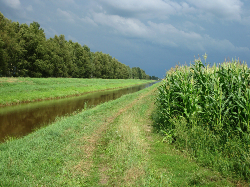 Заказник «Манчицы»
