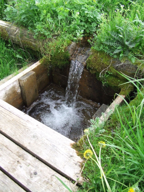 Щербишские родники