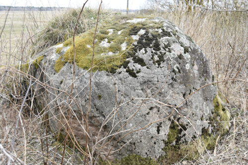 Янопольский большой камень