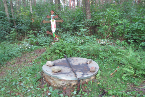 Пожежинская криница