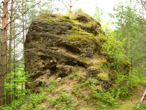 Конгломераты «Смольчицкие»