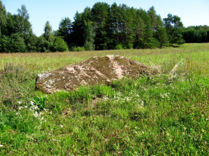 Валун «Большой камень» высочкинский