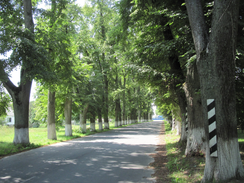 Начевская аллея