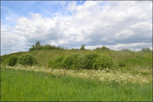 Медведковский оз