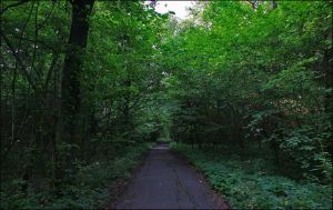 Заказник «Прилукский»