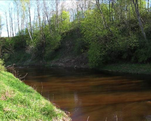 Сарьянская низменность