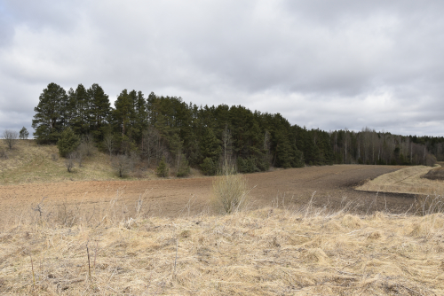 Горянская гряда