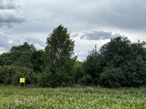 Котловины «Гумнище» и «Подберезье»