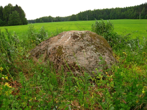 Валун «Большой камень» кучкунский