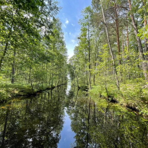 Республиканский заказник «Прибужское Полесье»