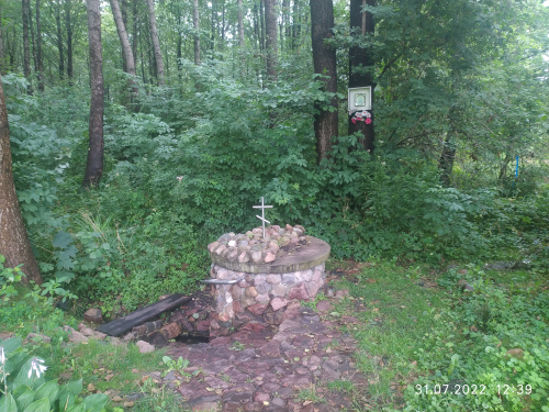 Брестская родниковая струга