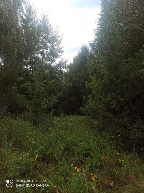 Заказник «Лобня»