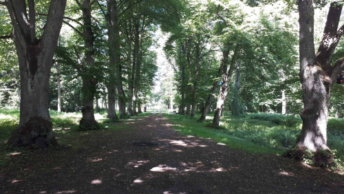 Парк «Репихово»