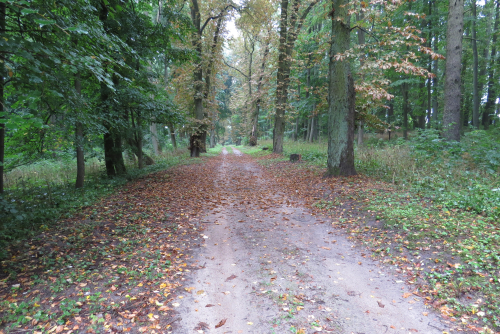 Парк культуры и отдыха в г. Высокое