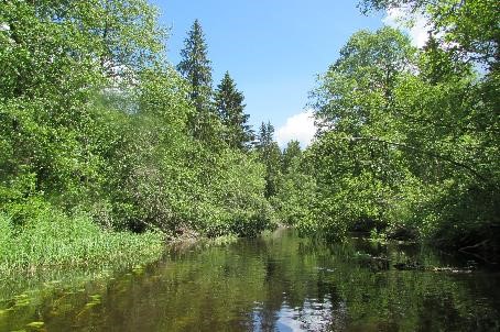 Заказник «Верховье Ловати»