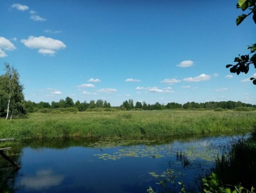 Заказник «Унухальское»