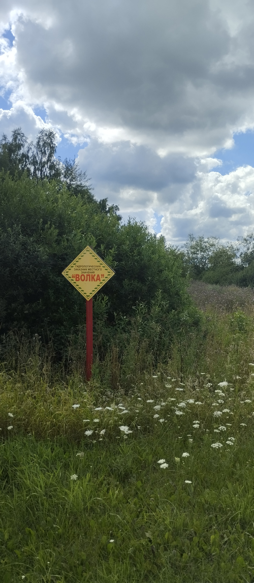 Заказник «Волка»