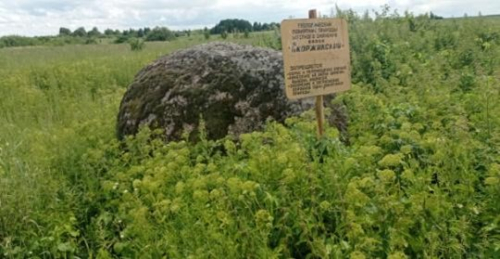 Валун в д. Скоржитский