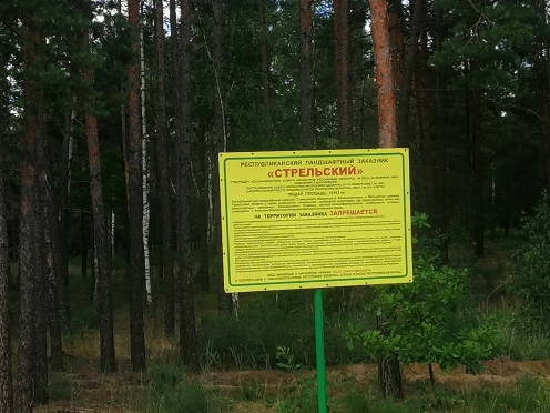 Стрэльскі