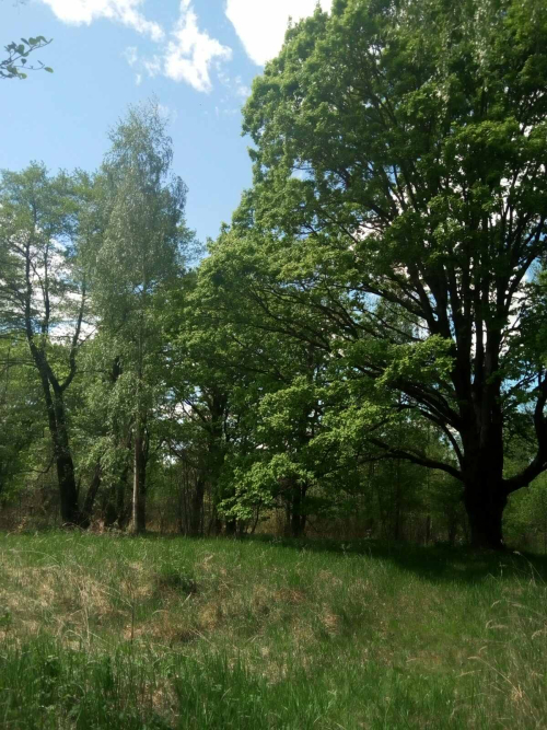Лунінскі
