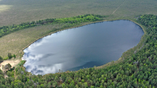 Ялоўскі