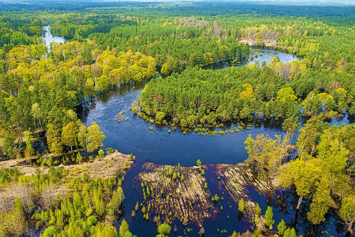 Заказнік «Прастыр»