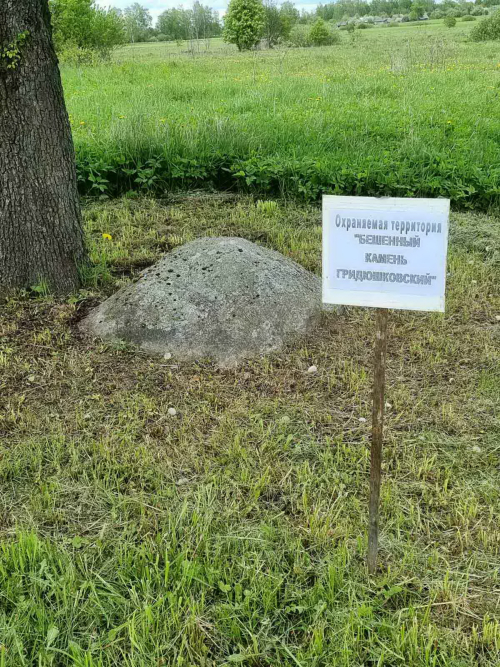 Вялікі камень Грыдзюшкаўскі