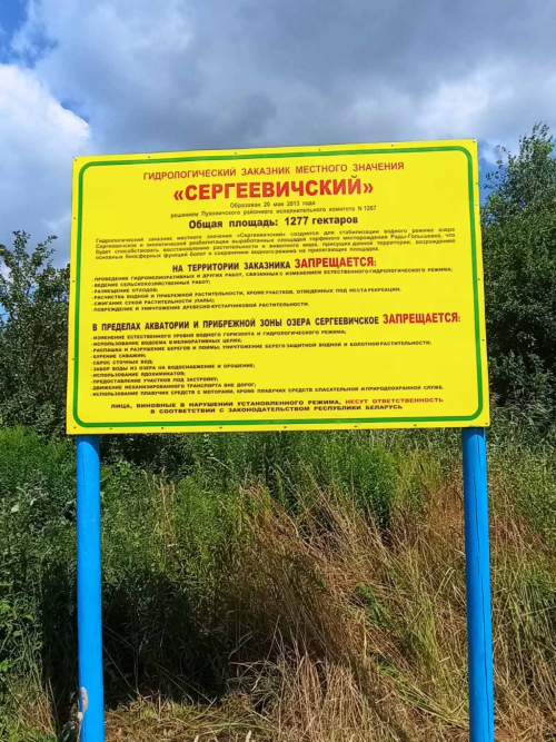 Сяргеевіцкі
